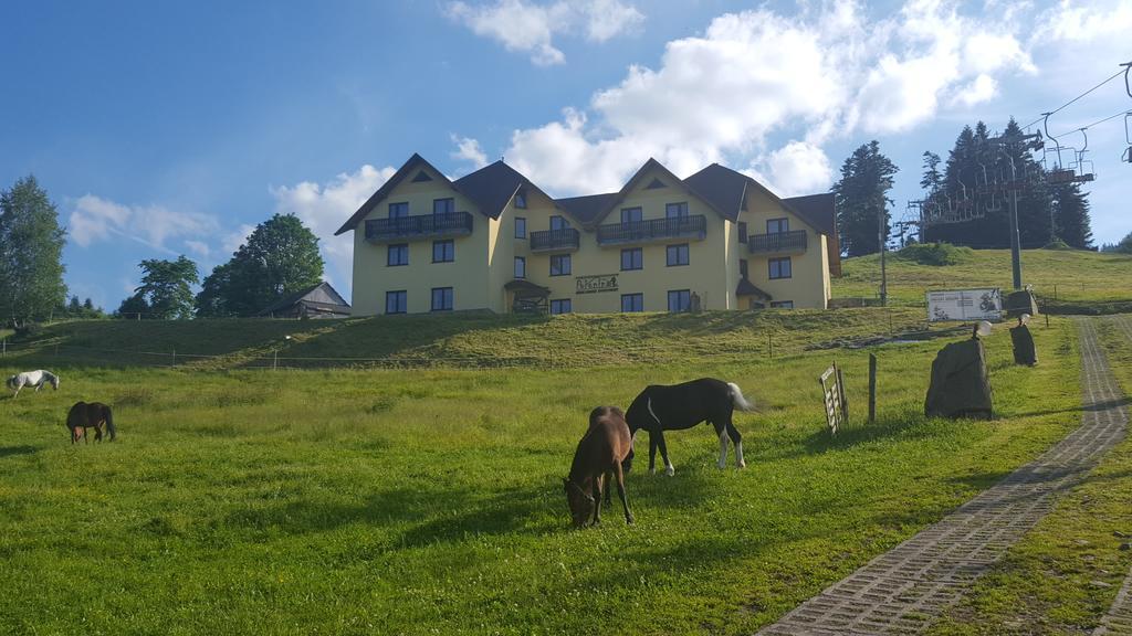 Polonina Guest house *