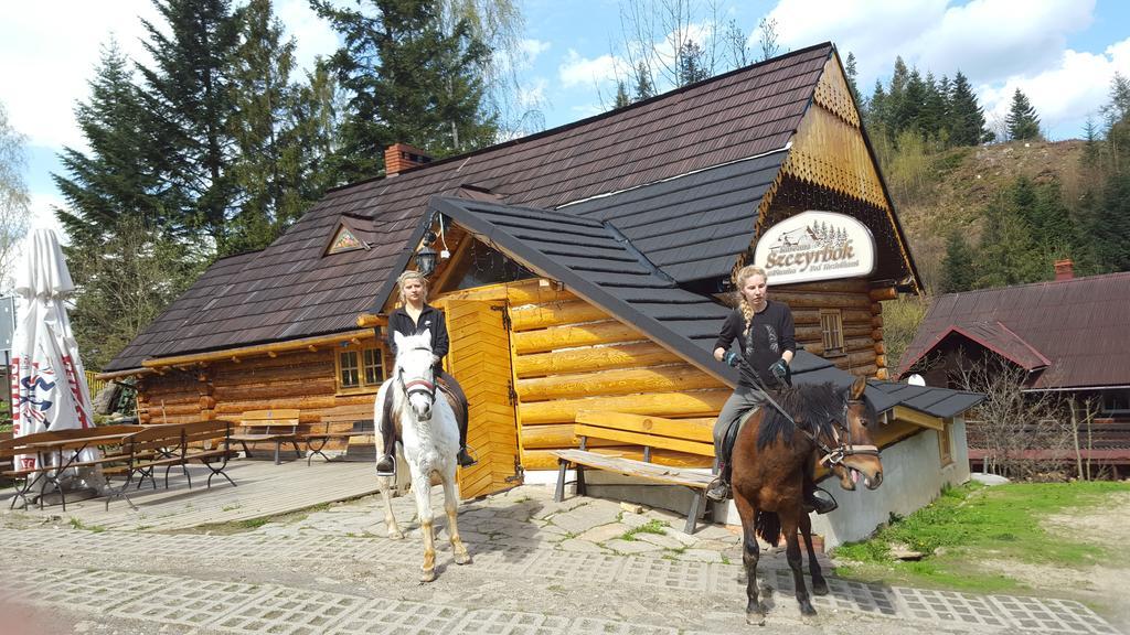 Guest house Polonina Korbielow